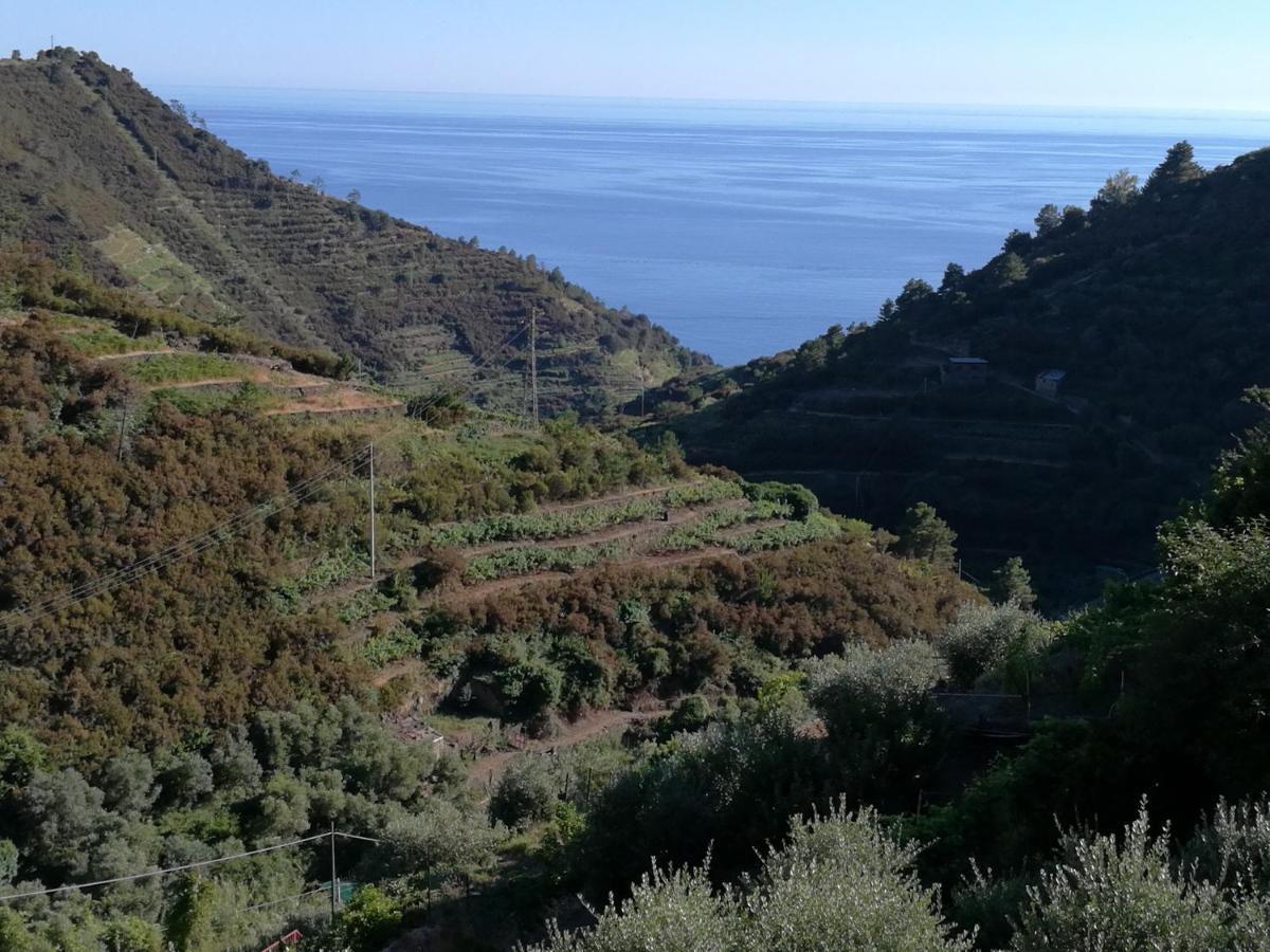 ☆ Terrace & Relax ☆ Casa Franceschin_ Homy 5 Terre Riomaggiore Exterior foto