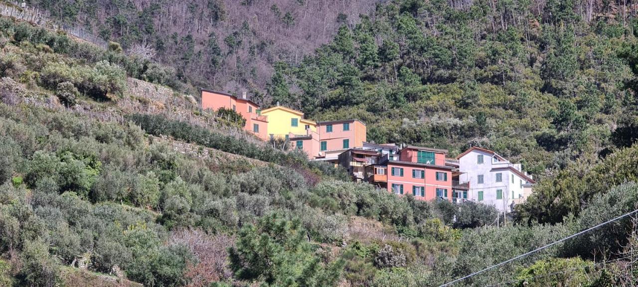 ☆ Terrace & Relax ☆ Casa Franceschin_ Homy 5 Terre Riomaggiore Exterior foto