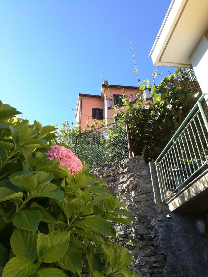 ☆ Terrace & Relax ☆ Casa Franceschin_ Homy 5 Terre Riomaggiore Exterior foto